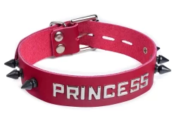 Single strap collar 1" wide. Red leather, no inner lining, lettering in center, black spikes around, silver locking buckle.