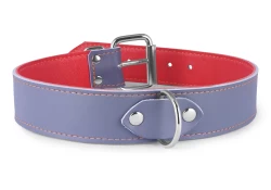 Single strap collar 1.25" wide. Grey leather, orange lambskin inner lining, d ring in center.