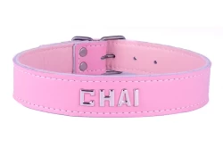 Single strap collar 1" wide. Rose leather, pastel lambskin inner lining, lettering, nickel-free buckle.