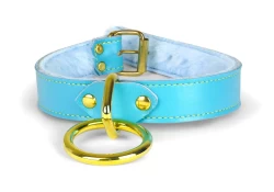 Single strap collar 1" wide. Baby blue lambskin outer layer, baby blue fur inner lining, brass loop & dee, brass buckle.