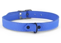 Single strap collar 0.75" wide. Carolina blue leather, carolina blue leather inner lining, black d ring, nickel-free buckle.