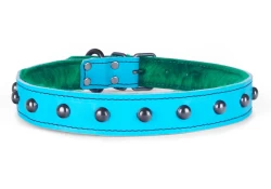 Single strap collar 1" wide. Teal leather, italian green fur inner lining, black raised heads, black d ring by buckle.