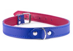 Single strap collar 0.75" wide. Royal blue leather, red lambskin inner lining, d ring in center.