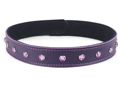 1" wide single strap collar. Chocolate Raspberry leather, black suede inner lining, lilac mini gems.