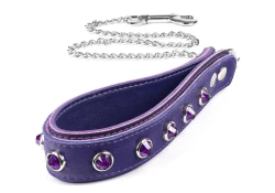 Double strap leash 1.25" wide. Grape lambskin top, chocolate raspberry leather bottom, purple lambskin inner lining, amethyst dome gems (discontinued), silver hardware.