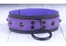 Double strap collar 1.75" wide. Iris leather top, black leather bottom, violet suede inner lining, black loop & dee (with large ring), black domes.