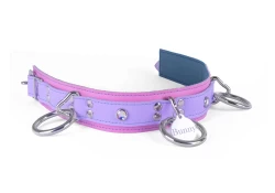 1.75" wide collar. Morning lavender leather top strap, rose leather bottom strap, teal lambskin inner lining, 3 loop & dee attachments, opal gems. Large round tag attached.