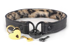 another angle of the DRC03 collar