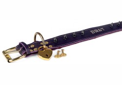 Single strap collar 1.5" wide. Midnight Purple leather, lettering, black spikes, brass buckle, reinforced brass d ring by buckle (with large brass heart-shaped lock.