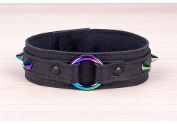 1.5" wide collar without wings, black leather top and bottom, black cuddle fleece lining, 1" rainbow o-ring in center, rainbow spikes