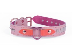 1" wide collar. Pastel leather, fuchsia lambskin inner lining, rise-gold buckle (and d ring by buckle), rose-gold heart, orange leather wings, lettering and linked dots decor.