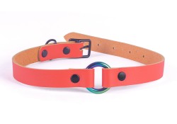 0.5" wide collar without wings, orange leather, black buckle, black d ring by buckle, rainbow o-ring.